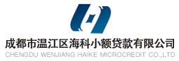 海科小贷